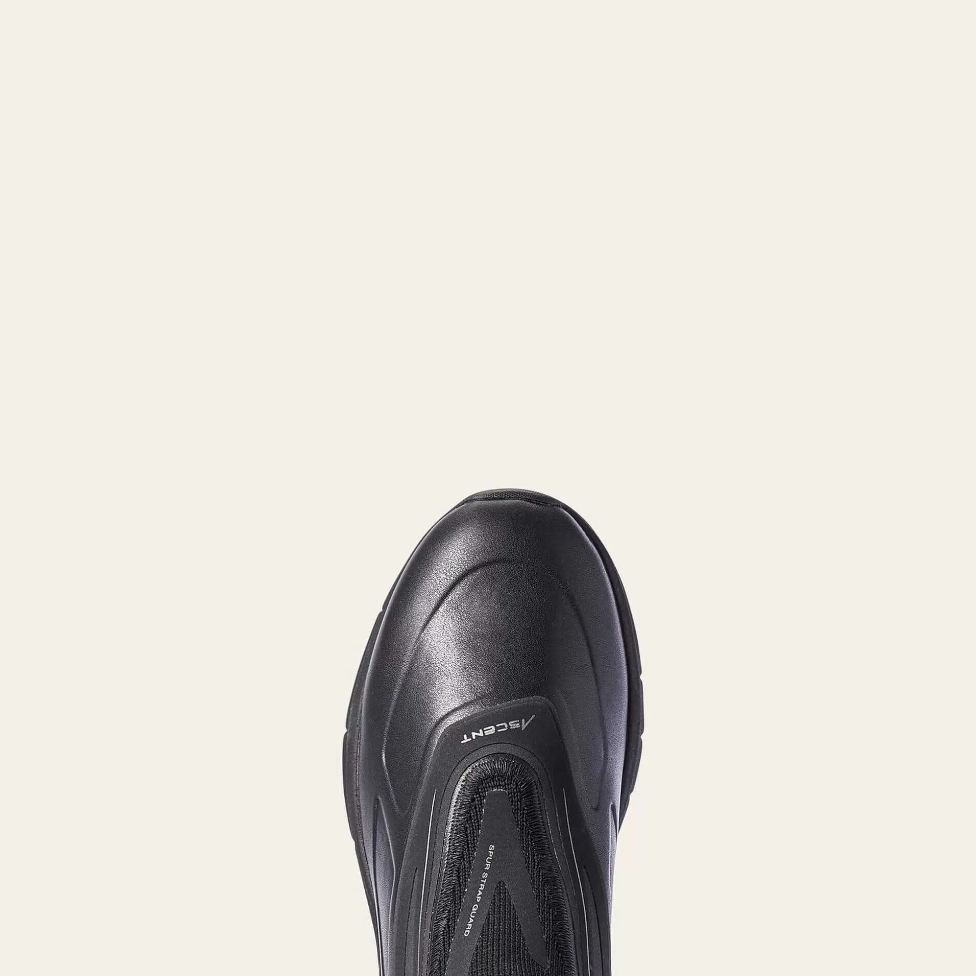 ariat English Riding Boots*Ascent Paddock Boot