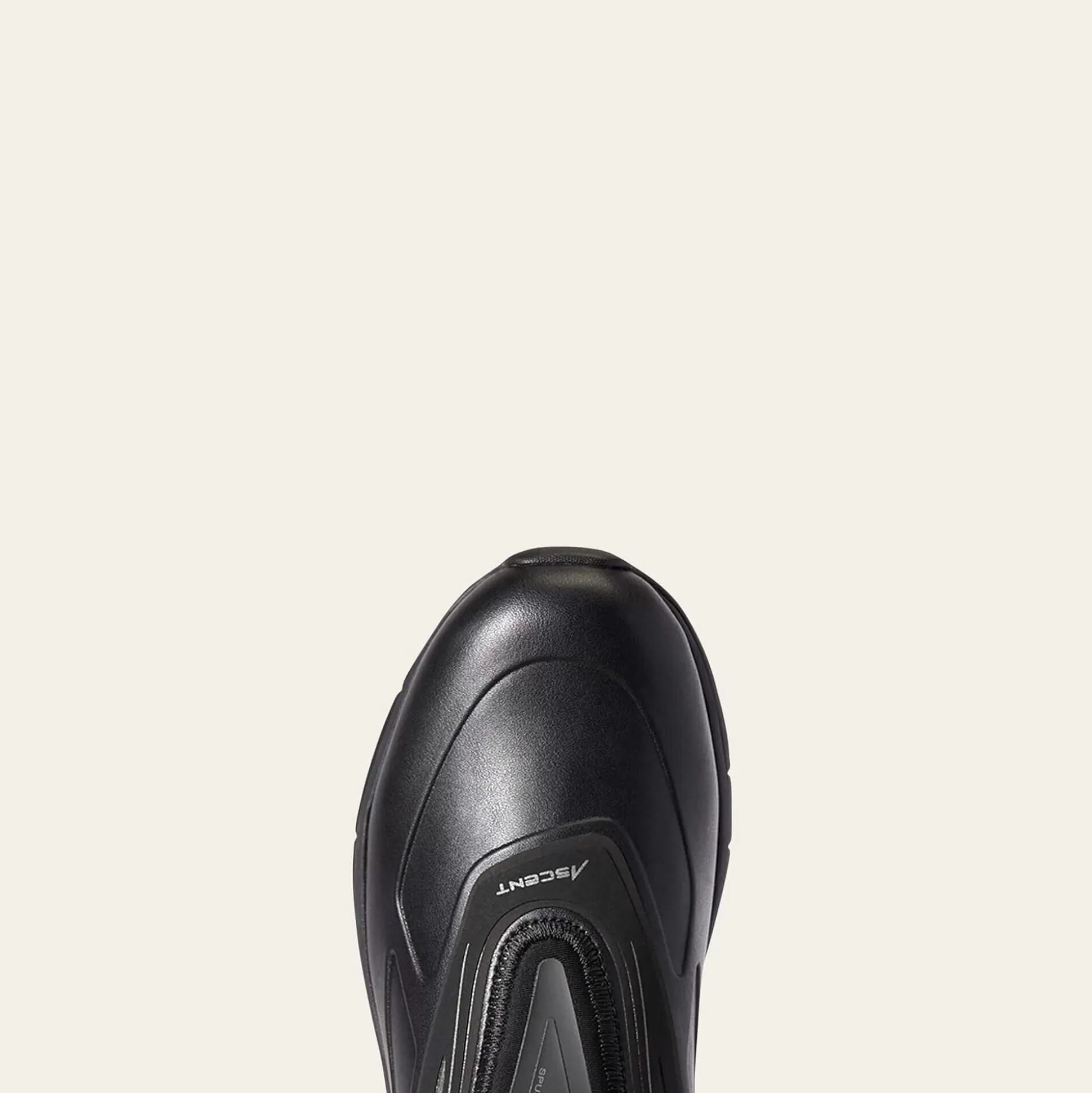 ariat English Riding Boots*Ascent Waterproof Paddock Boot
