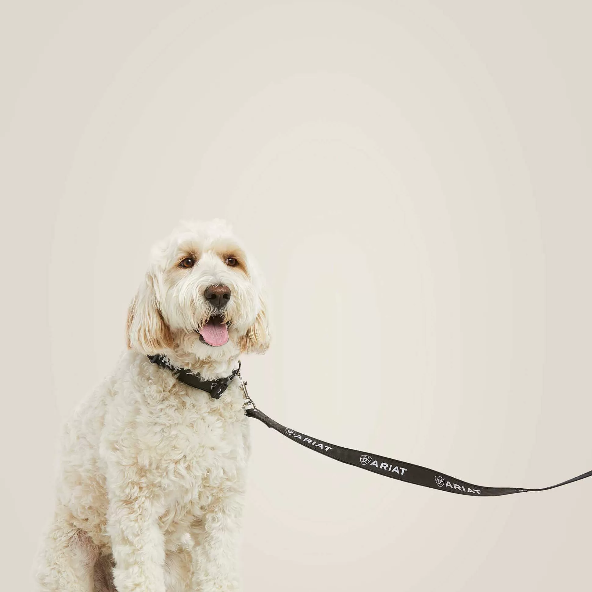 ariat Pet Accessories*Dog Leash