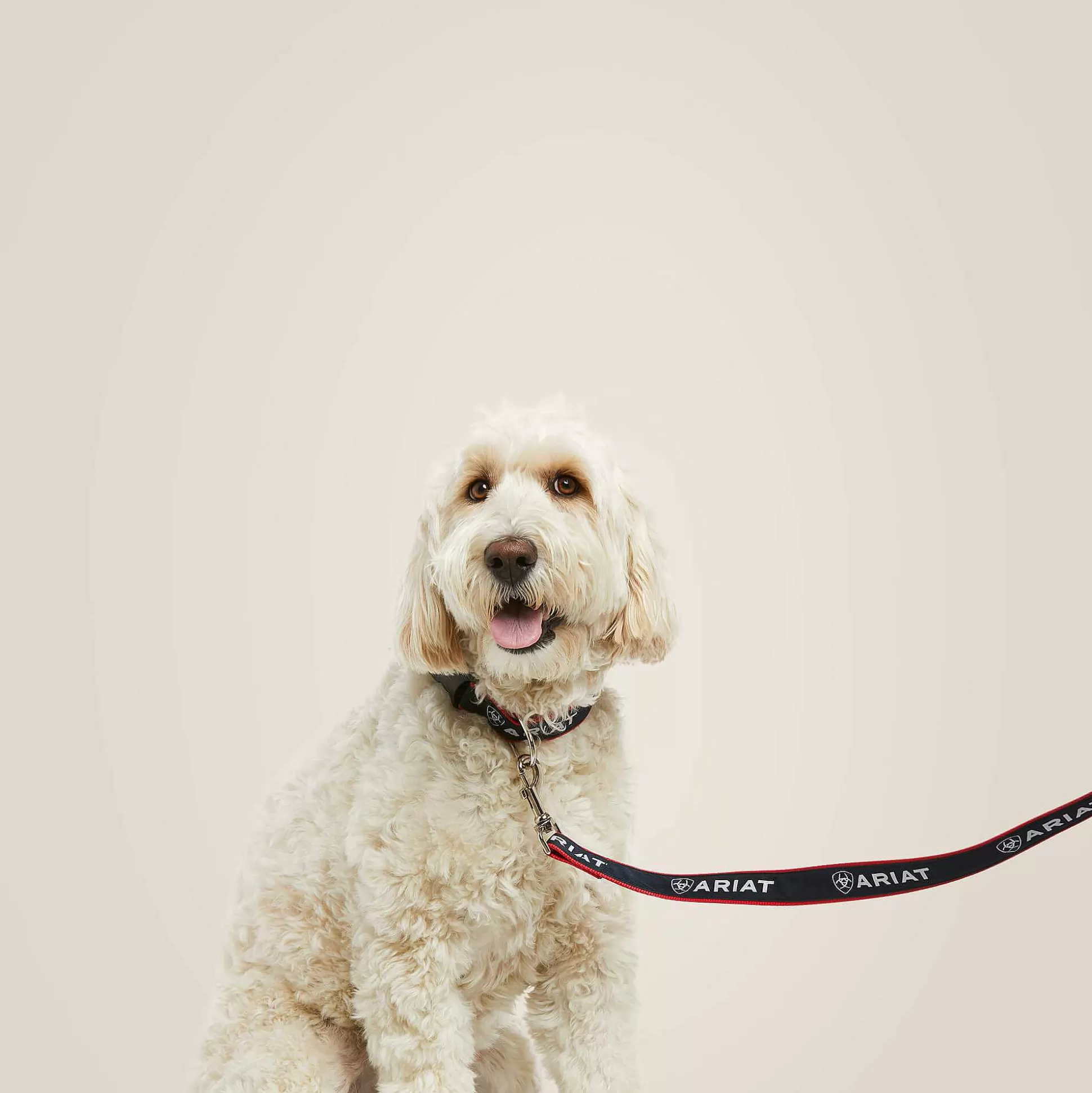 ariat Pet Accessories*Dog Leash