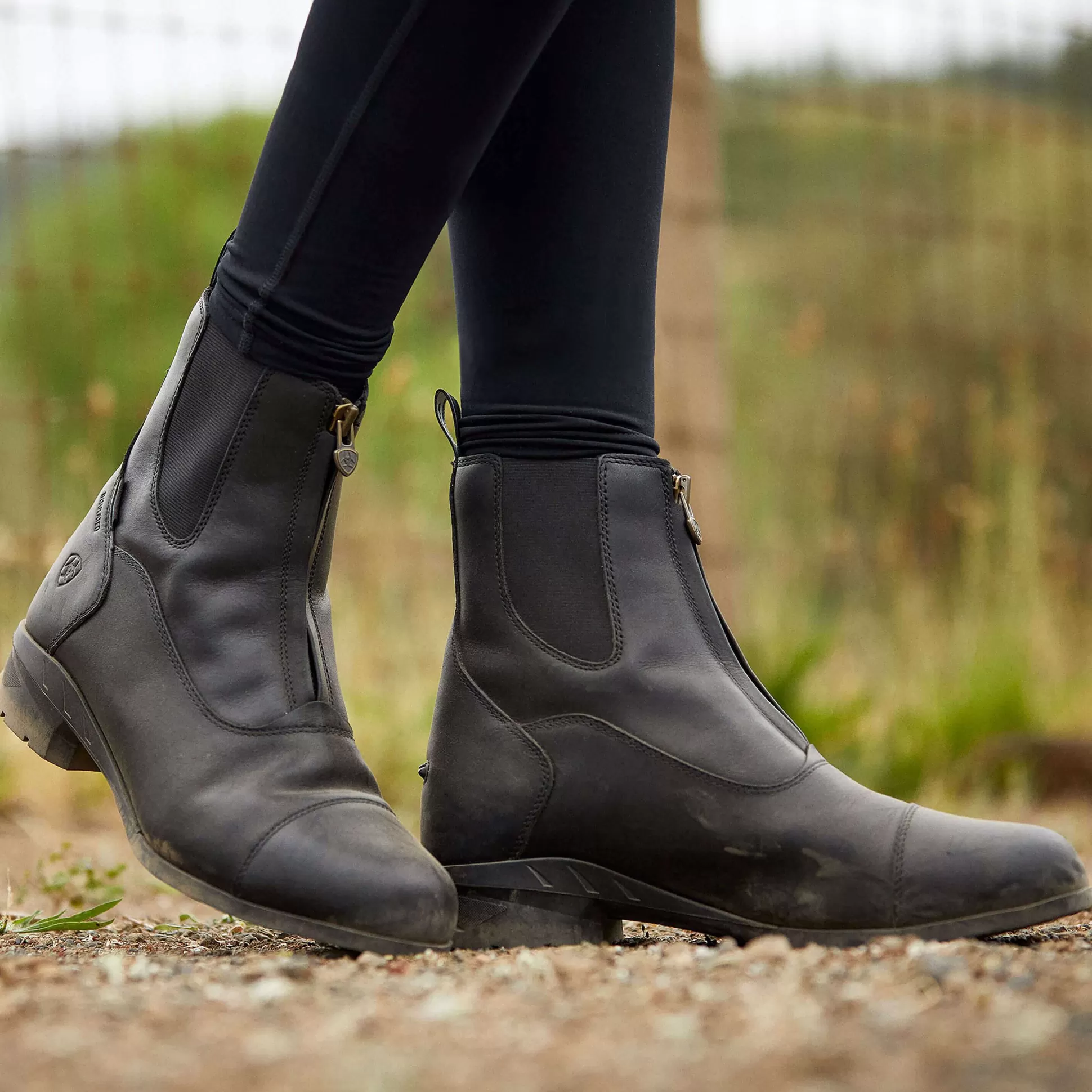ariat English Riding Boots*Heritage Iv Zip Waterproof Insulated Paddock Boot