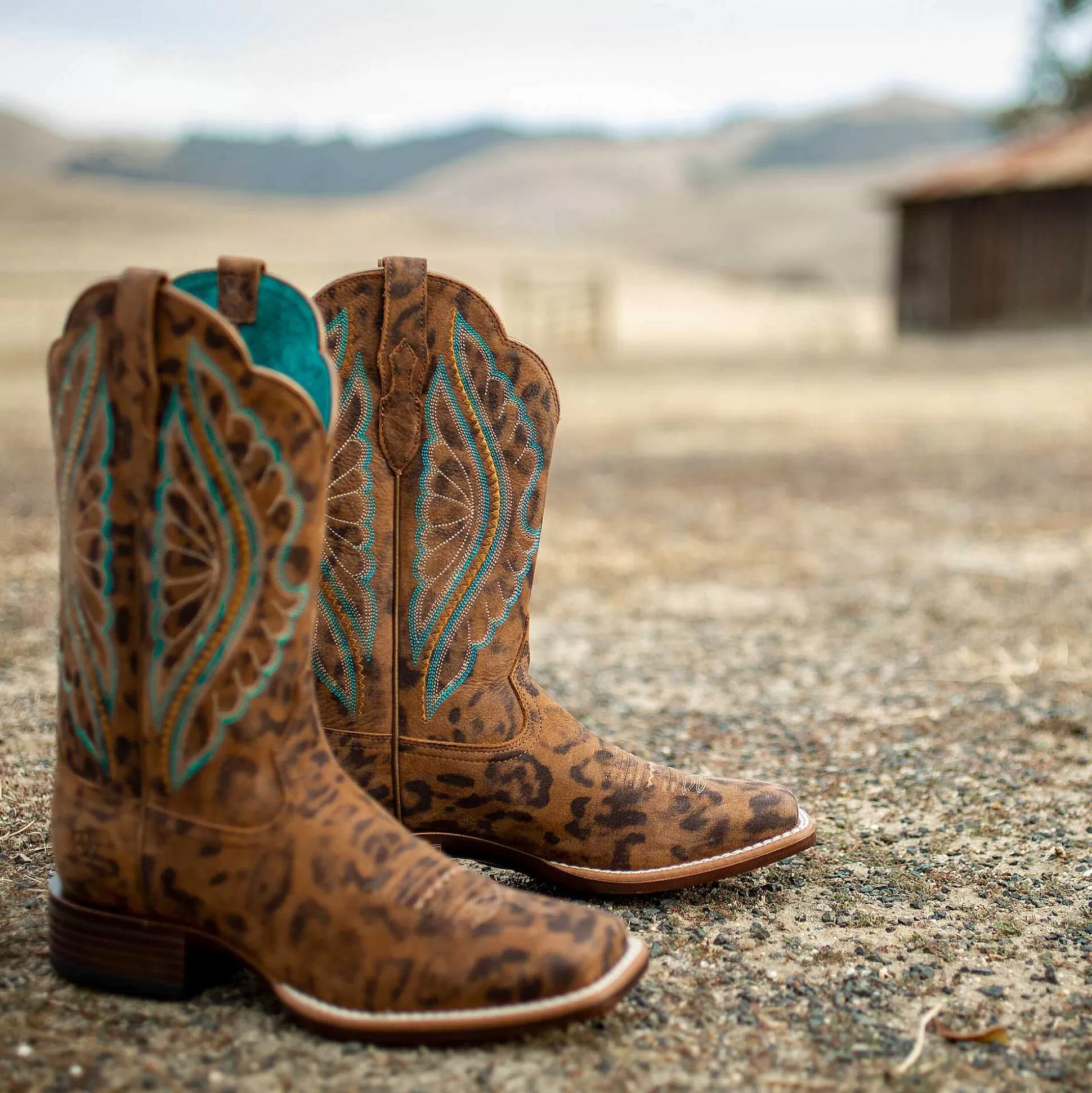 ariat Western Boots*Primetime Western Boot
