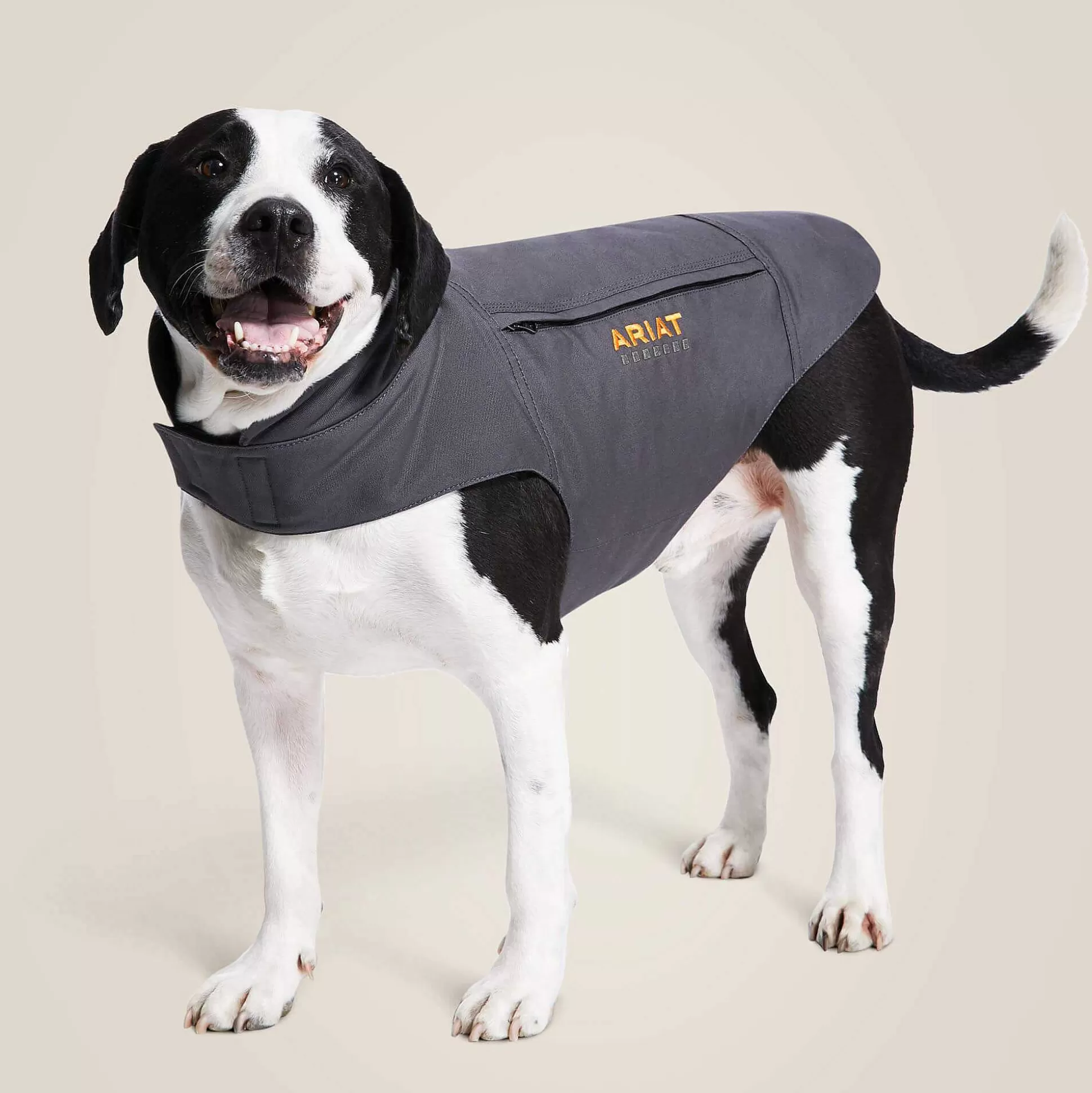 ariat Pet Accessories*Rebar Duracanvas Insulated Dog Jacket