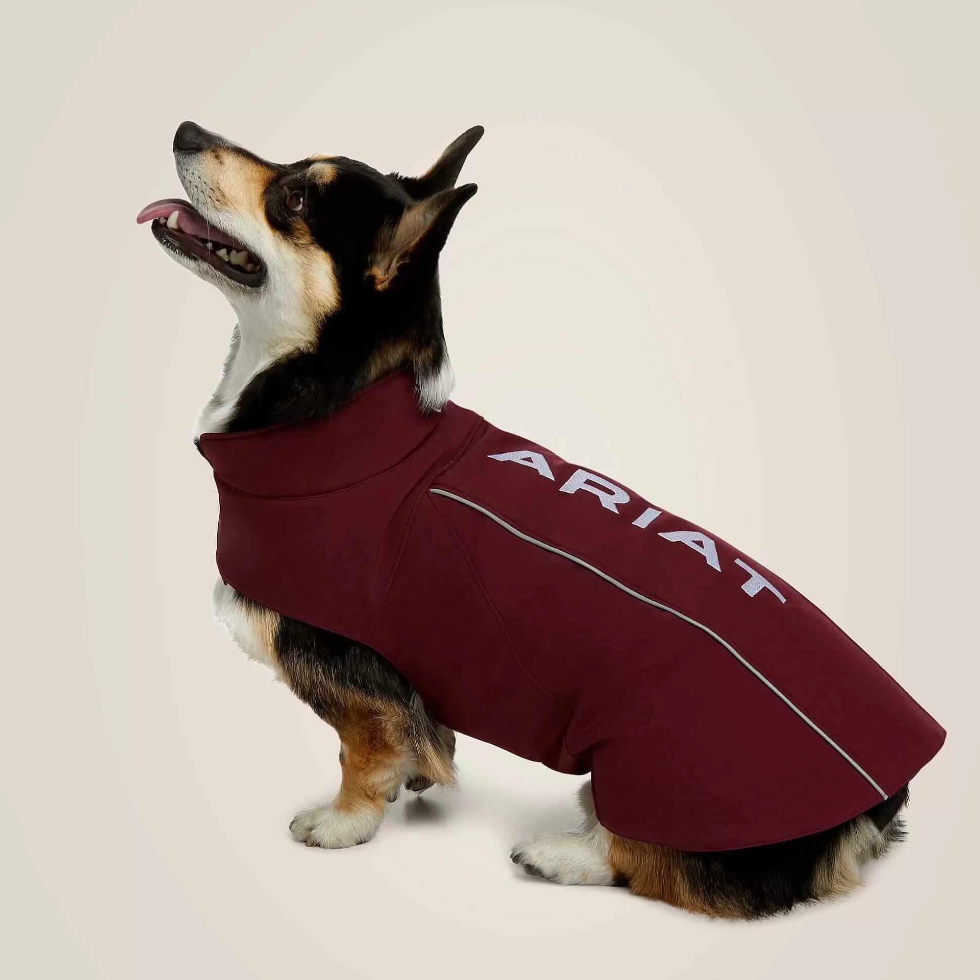 ariat Pet Accessories*Team Softshell Dog Jacket