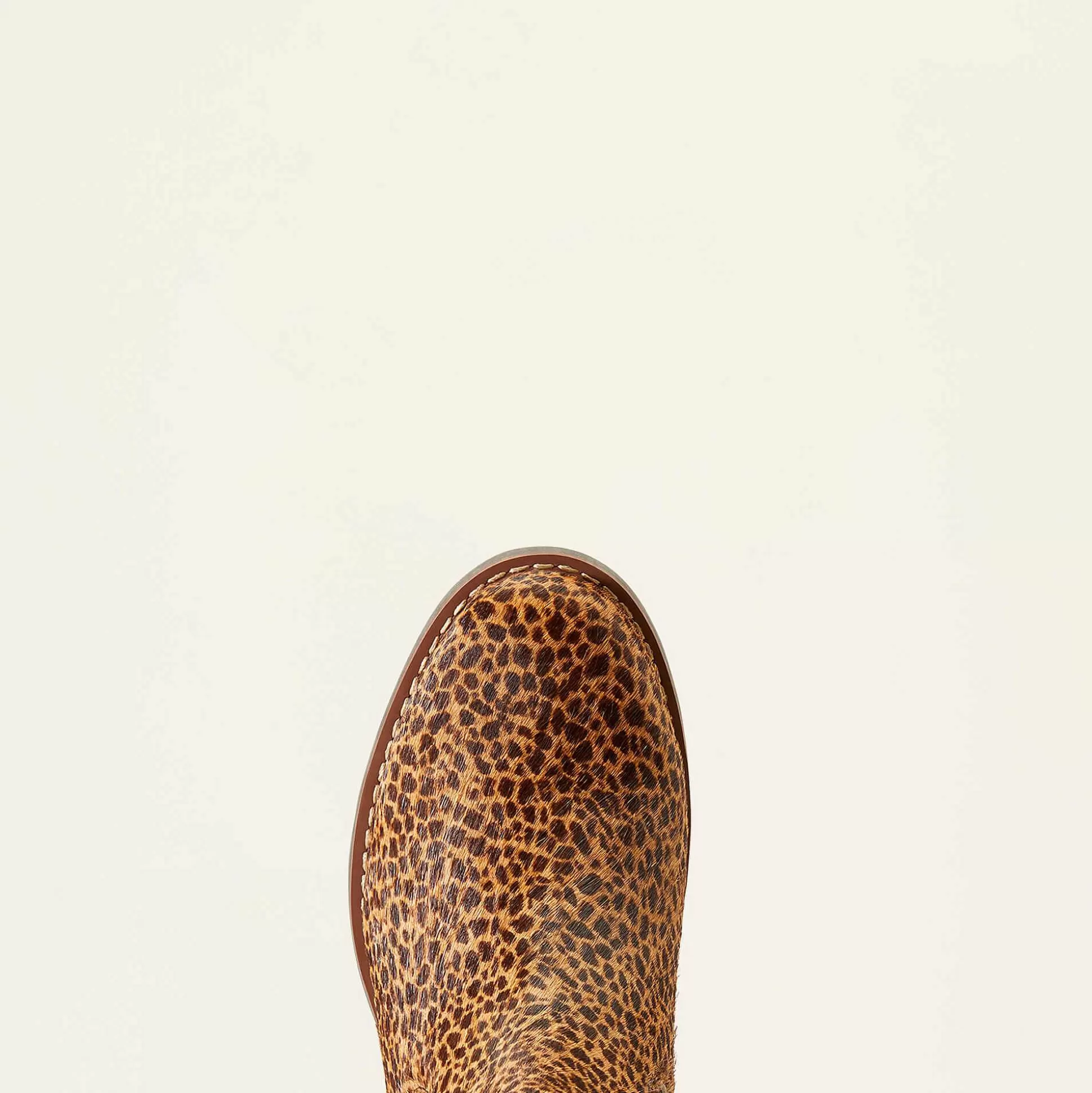 ariat Booties*Wexford Chelsea Boot